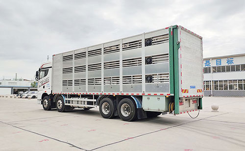 浅谈关于荷兰的生猪运输方式