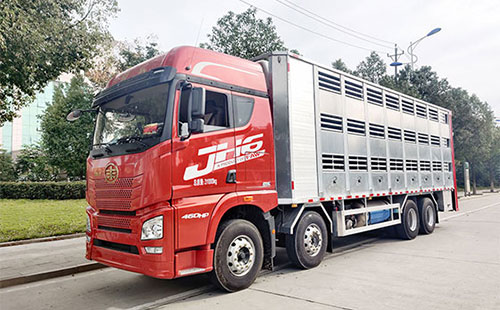 苗猪长途运输中的注意事项